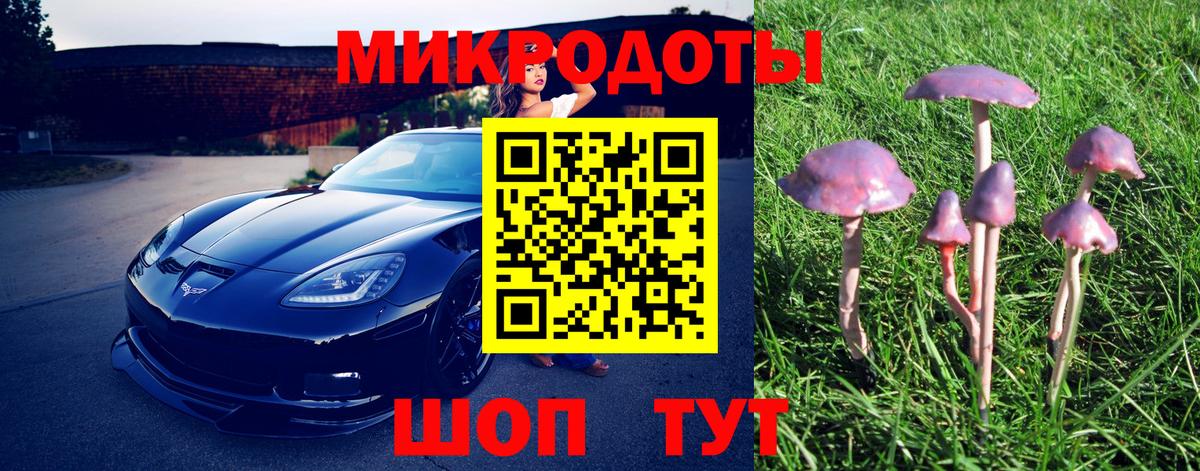 Галлюциногенные грибы прущие грибы Набережные Челны